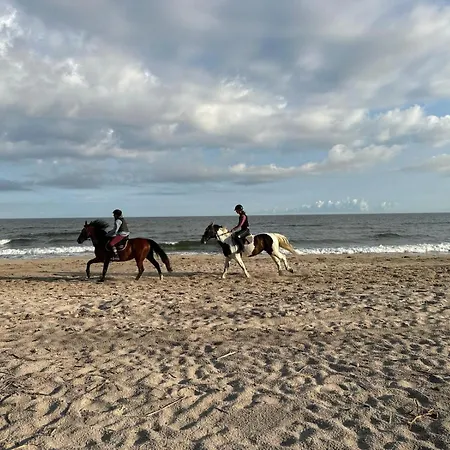 Morski 尤斯托尼莫斯基