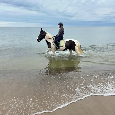 Morski 尤斯托尼莫斯基