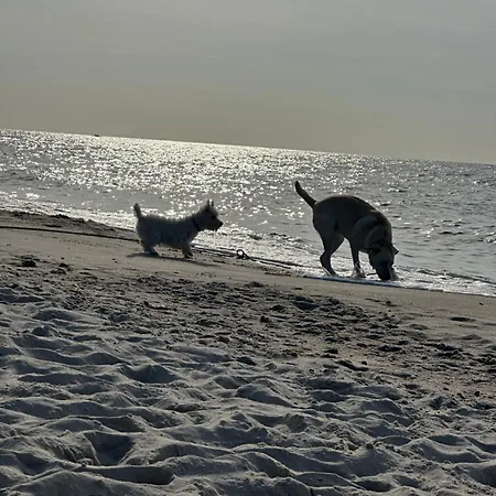 Apartman Morski Ustronie Morskie