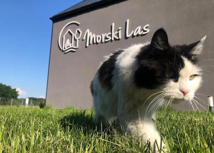 Apartamento Morski *