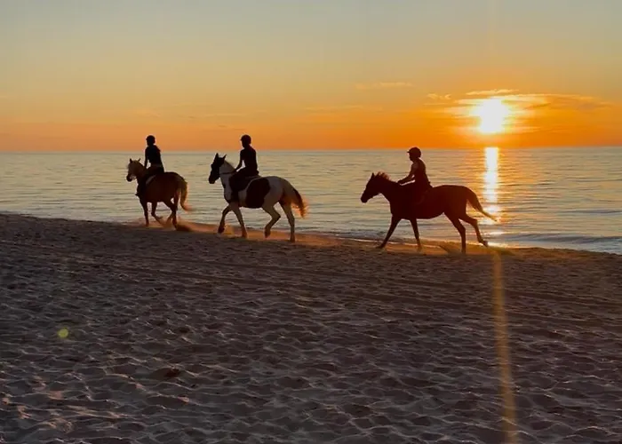 Morski Apartamento Ustronie Morskie