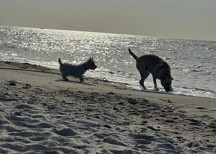 Apartment Morski Ustronie Morskie